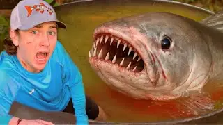 I Caught the Monster Attacking My Fish!
