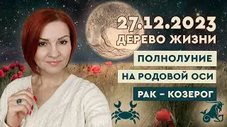 27 декабря 2023 Полнолуние. Древо жизни