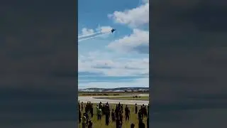 MiG-29 4-Point Roll Airshow | DCS