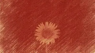 Joel Ansett - I'll Be Here (acoustic)