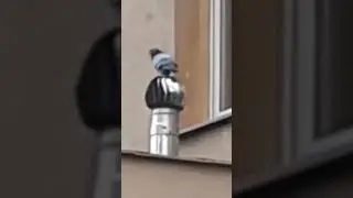 увлекательный аттракцион