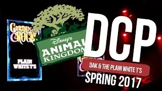 DCP Spring 2017 | DAK & Plain White T's