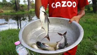 Best Fishing Video  Catching Fish Hunting By Hook  Village Fishing in Beautiful Natural