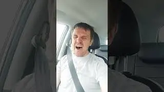 листья это письма лета ??