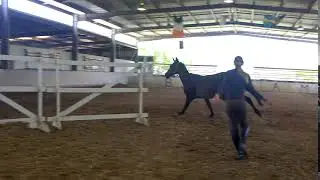 Belcam Nautilus Freejump