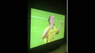 Sweden - France 2-1 (reaction to the late winning goal)