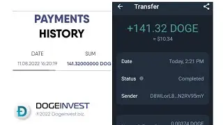 Make More than $1000 on Crypto #2022 - How to Withdraw in DogeInvest Site | Massive Withdrawal Proof