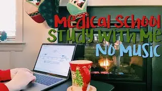 Real Time Study With Me (no music) - Medical School Edition