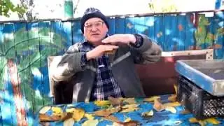 ВОПРОС -  ОТВЕТ ПРО ВИНО 9 Как я СНИМАЮ (сливаю) ВИНО (сусло)  С ОСАДКА