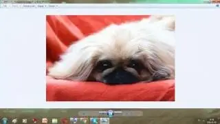 Live z Msp!♥ + na 30 osób robie konkurs na moda ilosuje z klubu na prezent!