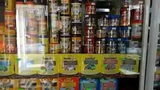 Какие бывают сухие корма для аквариумных рыб