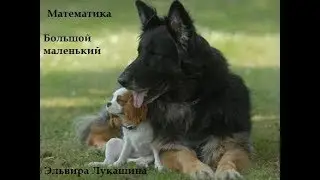 Математика для детей 3-4 лет понятие  выше ниже