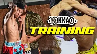 Master the Perfect Elbow Strike with Superlek | KO Technique Explained | YOKKAO Training Course