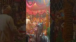 Rath Yatra| Jay Jagannath❤️🥰❤️#shorts#rathyatra#vital