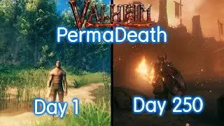 I Spent 250 Days in Valheim Permadeath, This Is What Happened - (Full Movie)