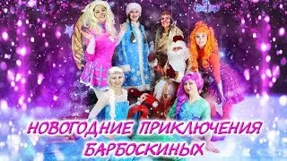 Новогодние приключения Барбоскиных