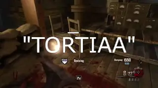 BLACK OPS 2 FUNNY MOMENTS: TORTIAAA