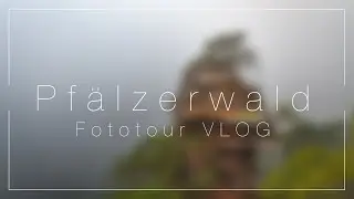 Buchkammerberg: Fotografie im Pfälzerwald - Trekking im Nebel