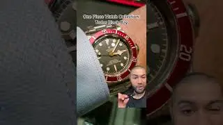 Tudor Black Bay: One Watch Collection Contender? #youtubeshorts #shorts #watches #tudor