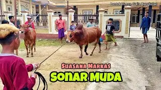 Markas Besar SONAR MUDA || Saat Persiapan Latihan