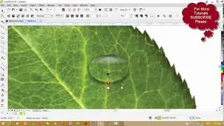 Corel Draw X8 Tutorials - Water Drops