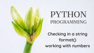 Python Programming: Tutorial 6: Checking in a string | format() | Working with numbers