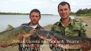 Рыбалка, Сазан, Сом, Судак, Лещ, Карпфишинг, Волга, Фидер