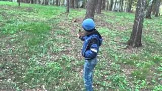 Николай Лопатин