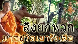 วัดเขารังเสือ พฤศจิกายน 2567