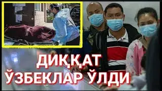 АФСУС БУГУН ЛАНАТИВИРУС ЎЗБЕКЛАРНИ ЎЛДИРДИ
