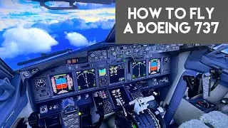 How to FLY a Boeing 737