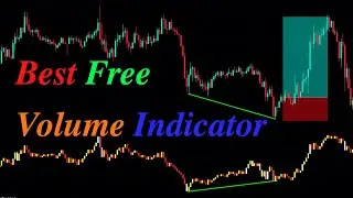 Best Free Volume Indicator | Following BTC - Siguiendo a BTC