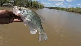 How To Catch Crappie In Creeks When Fish Are Spawning.... Lake Eufaula OK BEATDOWN!!