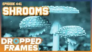 Shrooms ft. Dexbonus - Dropped Frames Episode 441
