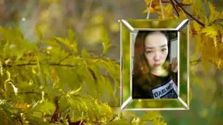 Golden Autumn Gallery