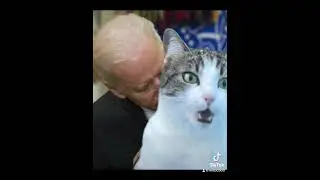 🐈💚🐈‍⬛ Photoshop My Cat They Asked