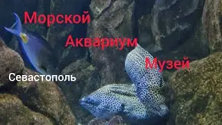 Крым Севастопольский аквариум-музей