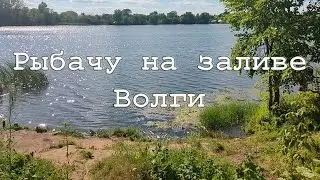 Залив Волги в июле 2024