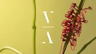 MYRNE - Peter's Theme