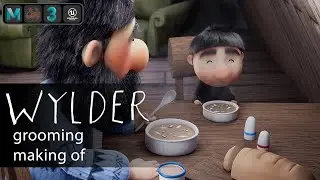 3D Grooming in 