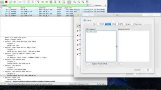Apple DHCP client vulnerability