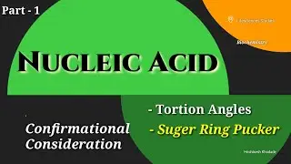 Nucleotide Detail Study | Torsion Angles | Suger Puckering | Nomenclature| Rotation in Nucleotide