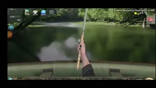 World of Fishers. Река Миссисипи #16. Медаль и Речная гонка