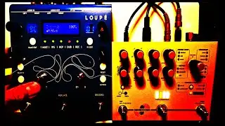 Using the Loupé and Microcosm Together as a Synchronized Looping Duo
