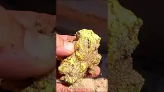 Small Signs of Gold Nuggets!