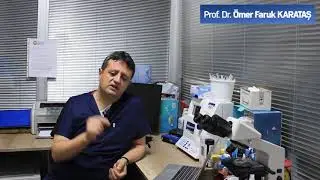 Çocuğumun Penisi Küçük Mü Değil Mi? Nasıl Anlayacağız?