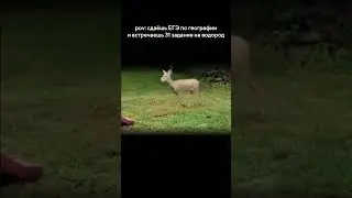 #география