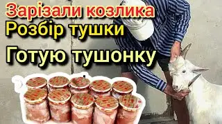 Тушонка з козла Розбір тушки
