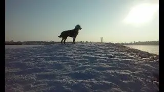 Идём к камню на карьере!!!