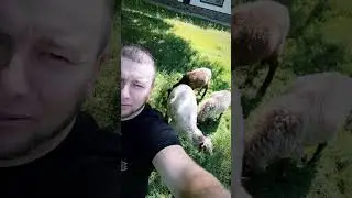 #деревня#сельская жизнь#